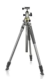 Vanguard Alta Pro 2+ 263AB 100 Aluminum Tripod...