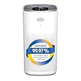 Clorox Air Purifiers for Home, True HEPA Filter,...