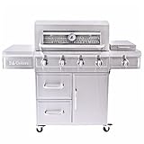 3 Embers 4-Burner Dual Fuel Propane Gas Grill with...
