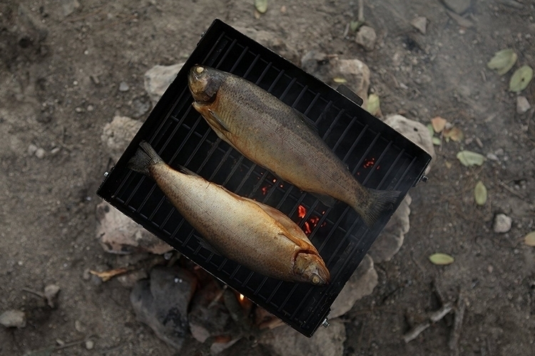 zivs-portable-smoker-4